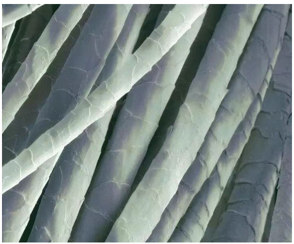 1765504960248282.png image.png